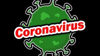 ZRUŠENÍ TRÉNINKŮ - uzavření školy dle nařízení vlády z důvodu koronaviru - DO ODVOLÁNÍ